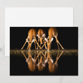 Three Impala Drink Together at Night サンキューカード (正面/裏面)