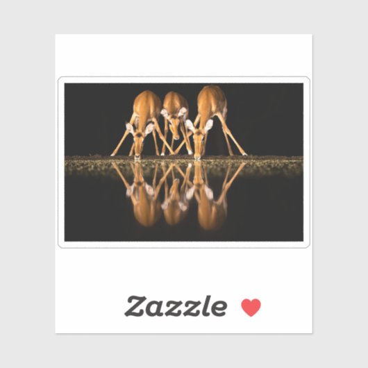 Three Impala Drink Together at Night シール (シート)