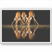 Three Impala Drink Together at Night シール (正面)