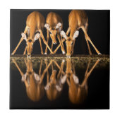 Three Impala Drink Together at Night タイル (正面)