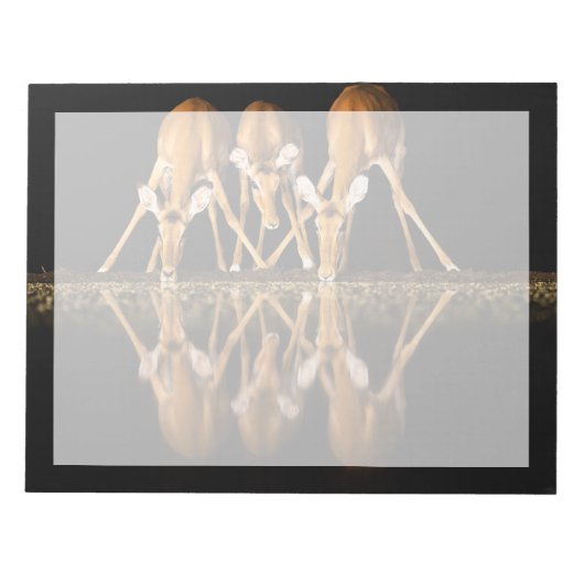 Three Impala Drink Together at Night ノートパッド (正面)