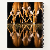 Three Impala Drink Together at Night ノートブック (裏面)