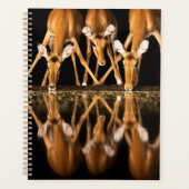 Three Impala Drink Together at Night プランナー手帳 (正面)