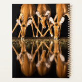 Three Impala Drink Together at Night プランナー手帳 (裏面)