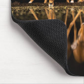 Three Impala Drink Together at Night マウスパッド (コーナー)