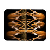 Three Impala Drink Together at Night マグネット (横)