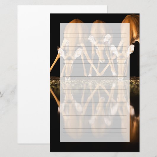 Three Impala Drink Together at Night 便箋 (正面/裏面)