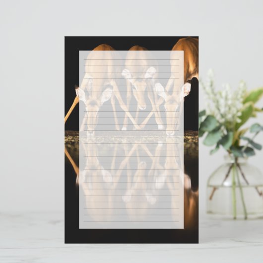 Three Impala Drink Together at Night 便箋 (スタンド正面)