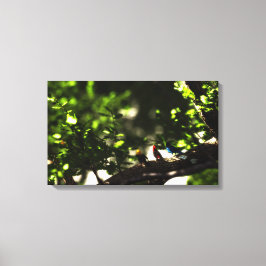 Three Little Birds キャンバスプリント