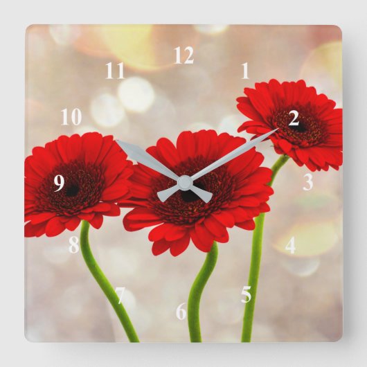 Three Little Red Gerberas Acrylic wall clock スクエア壁時計 (正面)