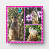 Three Meerkat Photo Collage、フォトプラーク フォトプラーク (正面)
