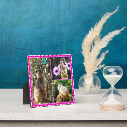 Three Meerkat Photo Collage、フォトプラーク フォトプラーク (インサイチュ)