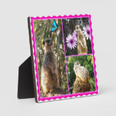 Three Meerkat Photo Collage、フォトプラーク フォトプラーク (正面)