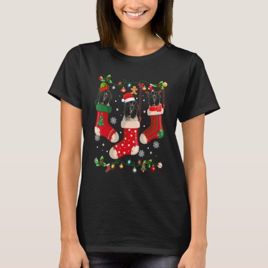 Three Newfoundland In Sock Christmas Santa X mas D Tシャツ (正面)