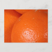 Three Orange Group Hug Still Life Photo ポストカード (正面)