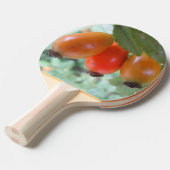 Three orange rosehips 卓球ラケット (正面アングル)