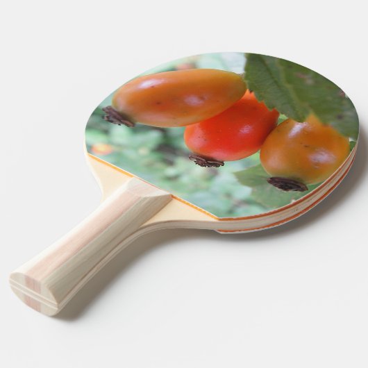 Three orange rosehips 卓球ラケット (正面アングル)