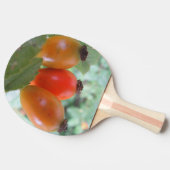 Three orange rosehips 卓球ラケット (横)