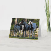 Three Paint Horses Standing Together カード (正面)