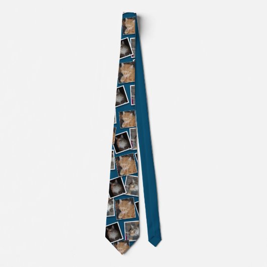 Three Photo Pet Photography Pattern ネクタイ (正面)