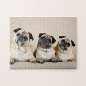 Three Pugs In A Row ジグソーパズル (横)