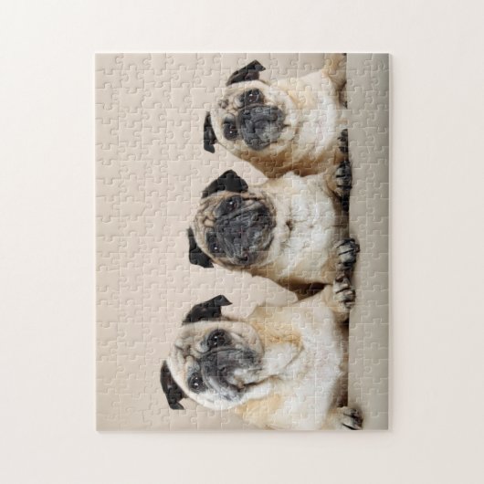 Three Pugs In A Row ジグソーパズル (縦)