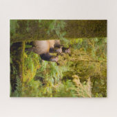 Three Roosevelt Elk Cows Looking At View ジグソーパズル (横)