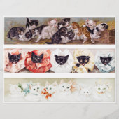 Three Rows of Victorian Era Kittens (正面)