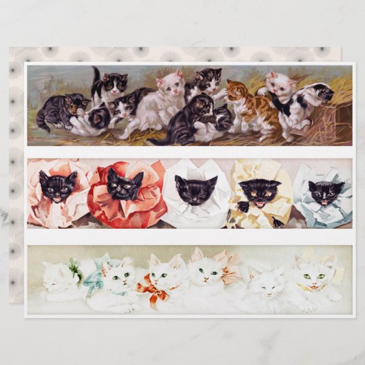Three Rows of Victorian Era Kittens (正面/裏面)