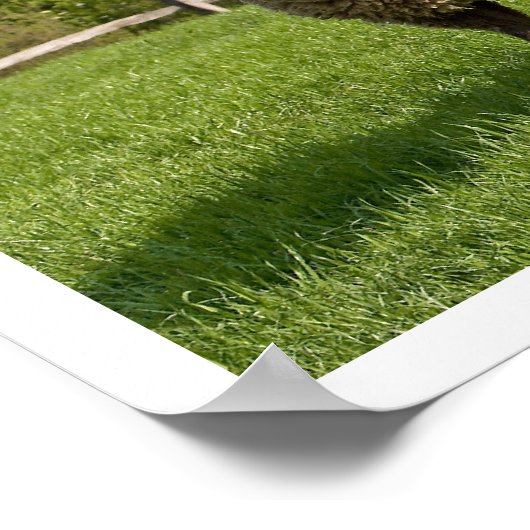 Three Sheep in a Pasture ポスター (角)