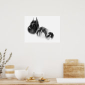 Three sizes of schnauzers POSTER ポスター (キッチン)