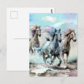 Three Wild Mustangs Race Across the Plains ポストカード (正面/裏面)