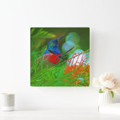 throatedハチドリのルビー スクエア壁時計 (ホーム)