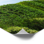 Throne in Heaven ポスター (角)