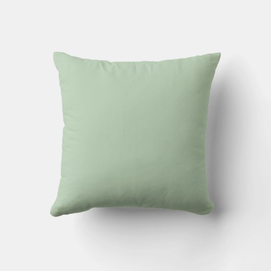 Throw Pillow クッション (裏面)