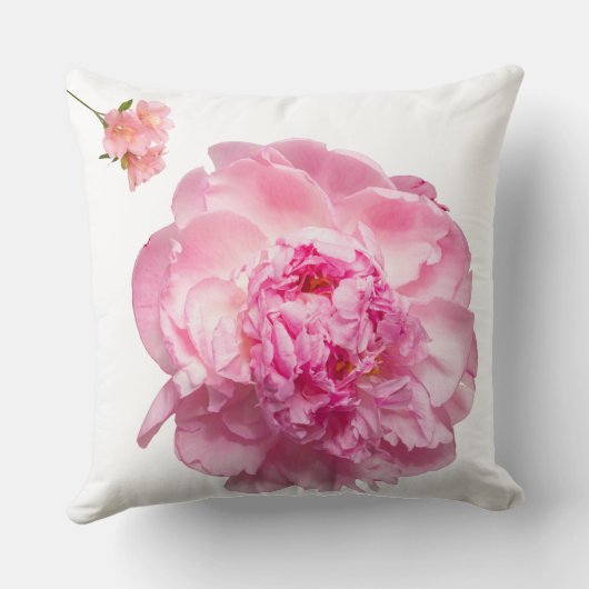 Throw Pillow クッション (裏面)