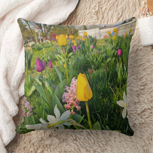 Throw Pillow クッション (ブランケット)