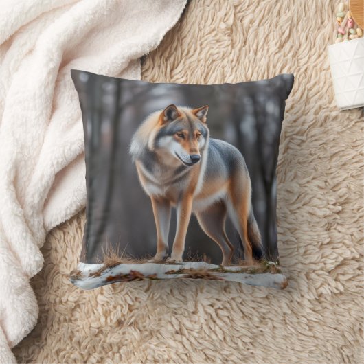 Throw pillow  クッション (ブランケット)