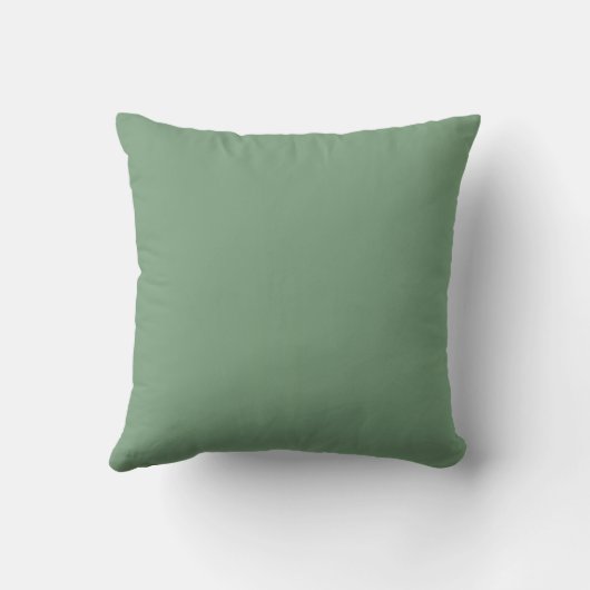 Throw Pillow: Give Thanks Pumpkin Harvest Blessing クッション (裏面)