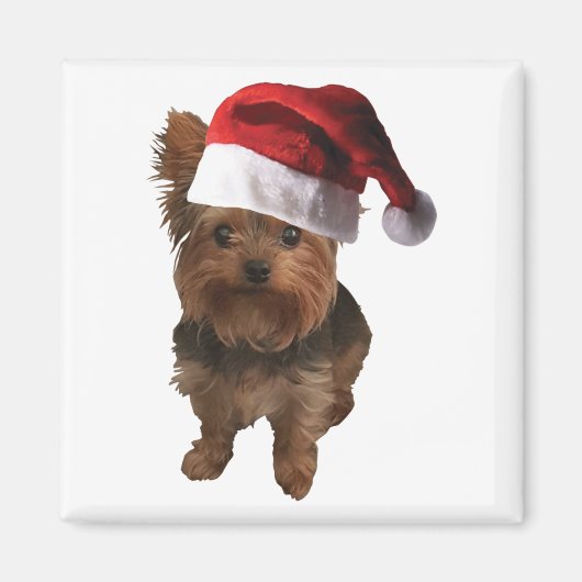 thumbnail_Santa Hatヨークシャーテリア マグネット (正面)