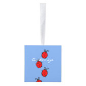 Thunder_Coveをクロールする赤いLadybug キューブオーナメント (右)