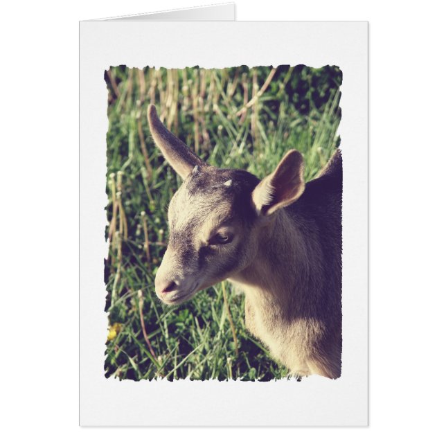 Thunder Vintage (正面)