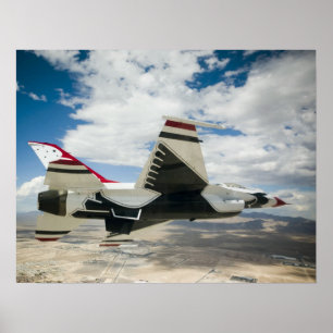 Thunderbirds Flight Demonstration Team ポスター