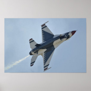 Thunderbirds Flight Demonstration Team ポスター
