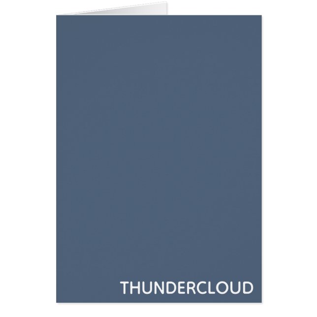 Thundercloud Blue-grayカラー名 (正面)