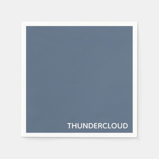 Thundercloud Blue-grayカラー名 スタンダードカクテルナプキン (正面)