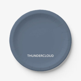 Thundercloud Blue-grayカラー名 ペーパープレート