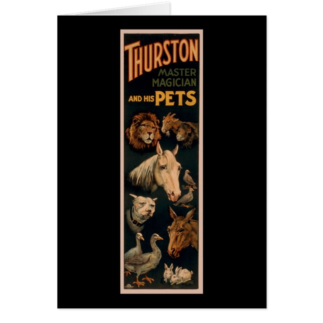 Thurstonのマスターの手品師および彼のペット (正面)