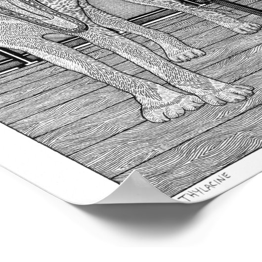 Thylacine ポスター (角)