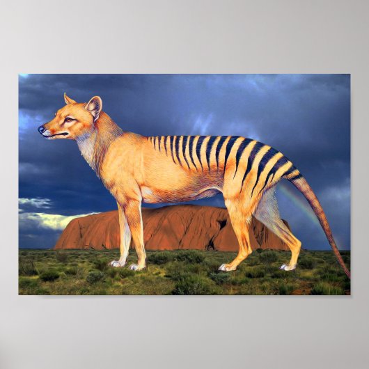 Thylacine (Tasmanian Tiger) ポスター (正面)